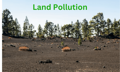 Impact and Consequences of Land Pollution