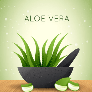 Air-Purifying Plants
