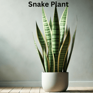 Air-Purifying Plants
