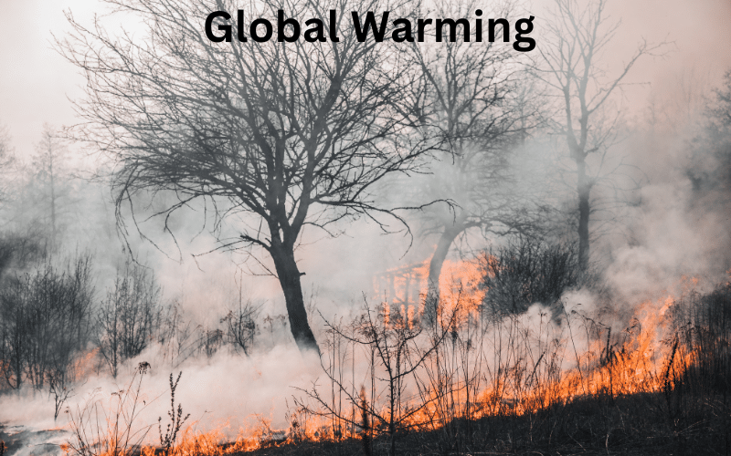 A painting depicting global warming with forest fires and deforestation.